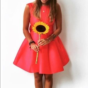 🎉 Kate Spade Cupcake Dress. ✨💕